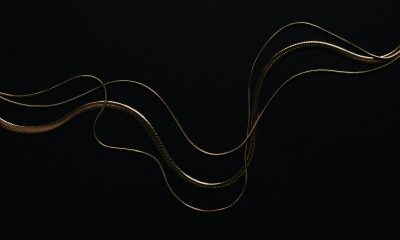 a black and white snake